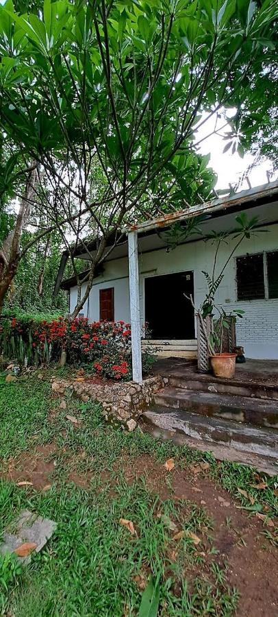 Pai Yard Guest House Luaran gambar